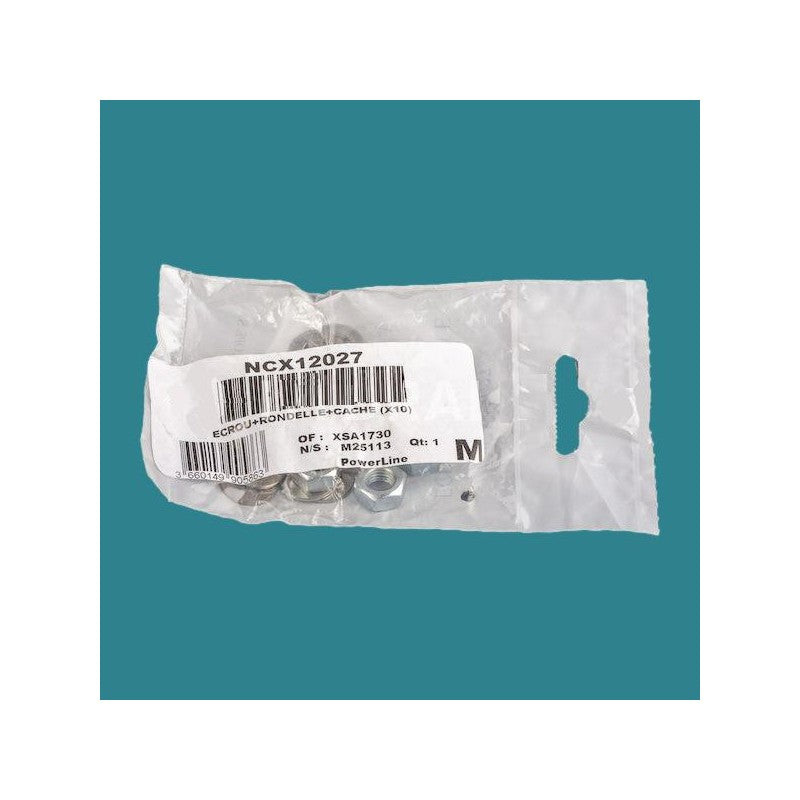 Hayward Screw kit for aquapure filterpro ii sand filter cover - NCX12027