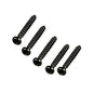 Zodiac Vortex Screw 4*25 mm (pack 5 pcs.) - R0638900