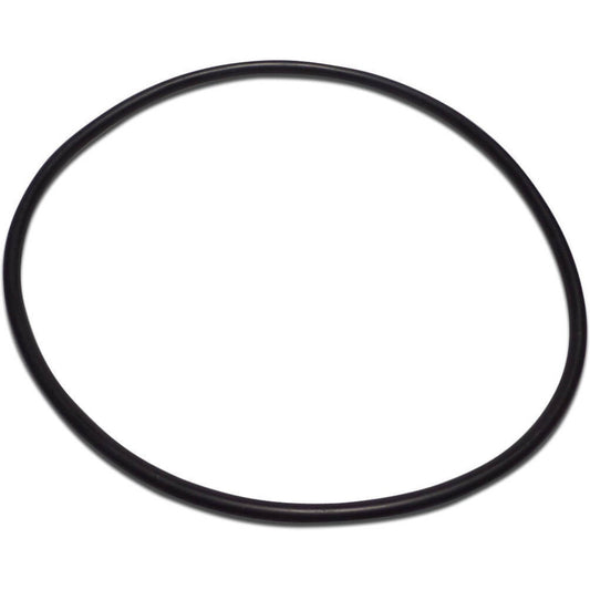 Pentair R350013 Lid O-Ring for Challenger, Pinnacle, and WhisperFlo Pumps (Origin: EU)