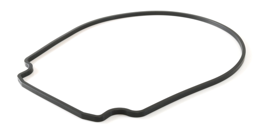 Pentair R357100 – Seal Plate Gasket for WhisperFlo & IntelliFlo Pumps (Black)