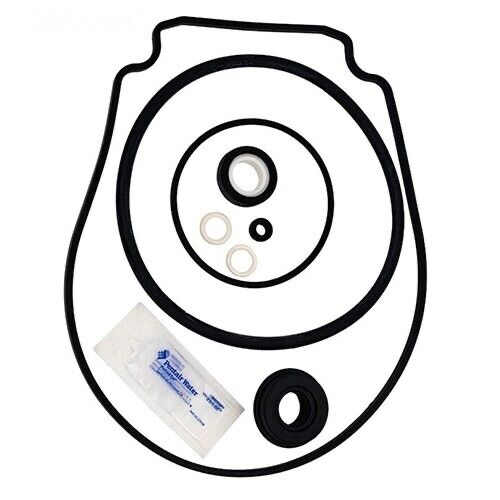 Pentair P-WFL-OSET – Gasket & Seal Kit for WhisperFlo and IntelliFlo Pumps