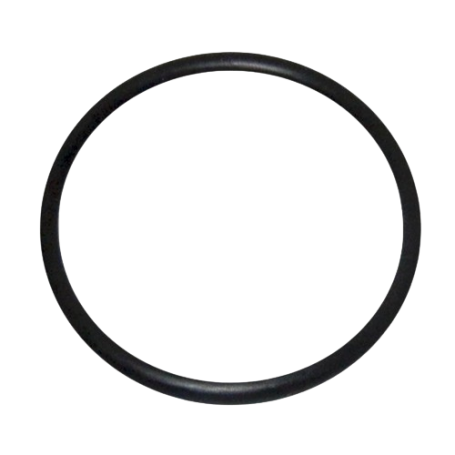 Pentair R39300600 Ultraflow Prefilter Lid O-Ring